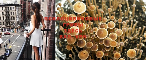 амфетамин Богородск