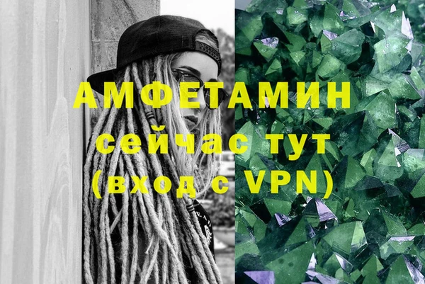 мдпв Ельня