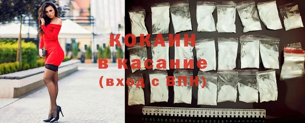 спиды Богданович