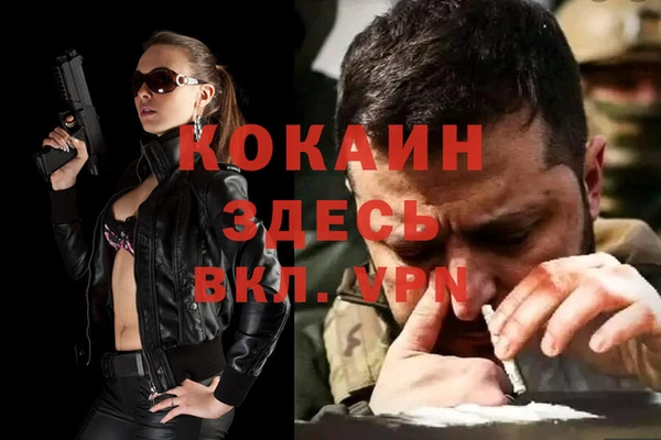 спиды Богданович