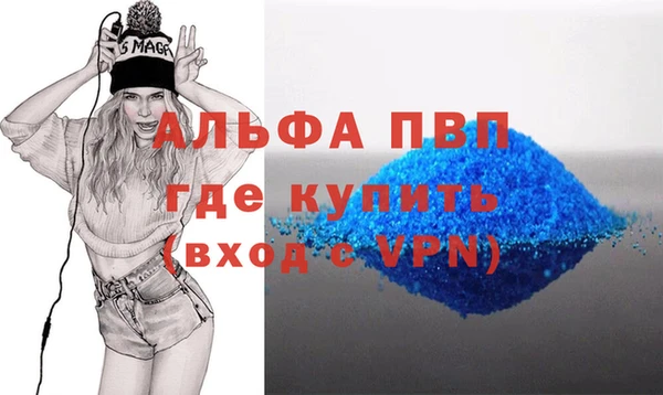 спиды Богданович