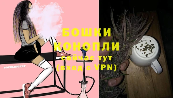 кокс Белокуриха