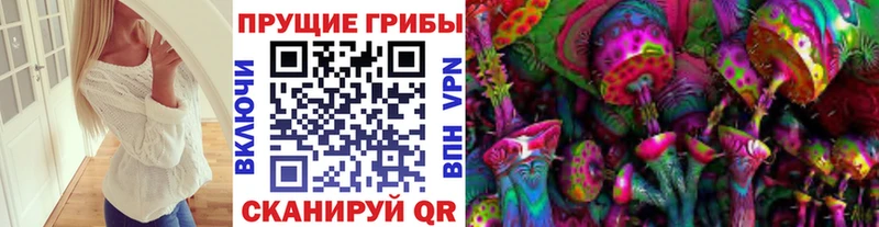 мега зеркало  Губкинский  Галлюциногенные грибы Magic Shrooms  нарко площадка формула  сколько стоит 