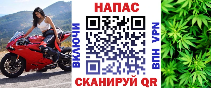 Канабис OG Kush  Губкинский 